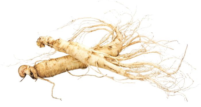 Ginseng