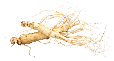 Ginseng